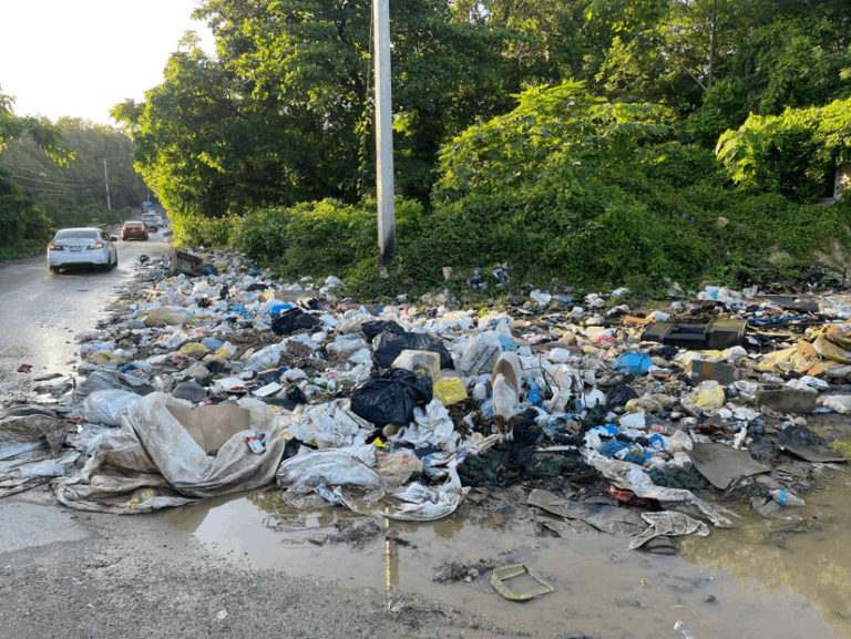 Vertederos ilegales y lluvias intensifican crisis ambiental