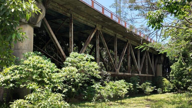 Tanda de apagones y deterioro de puente #FVDigital