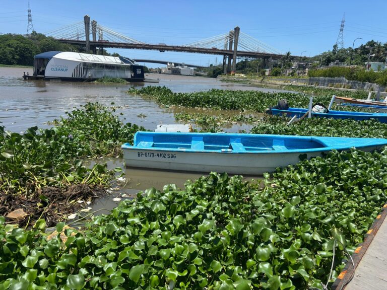 Lilas paralizan pesca en el río Ozama pescadores denuncian #FVDigital
