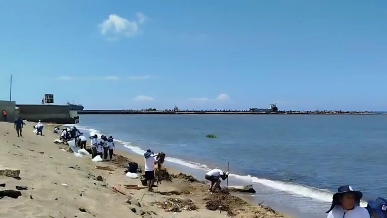 Realizan Jornada de Limpieza en Playa Montesinos