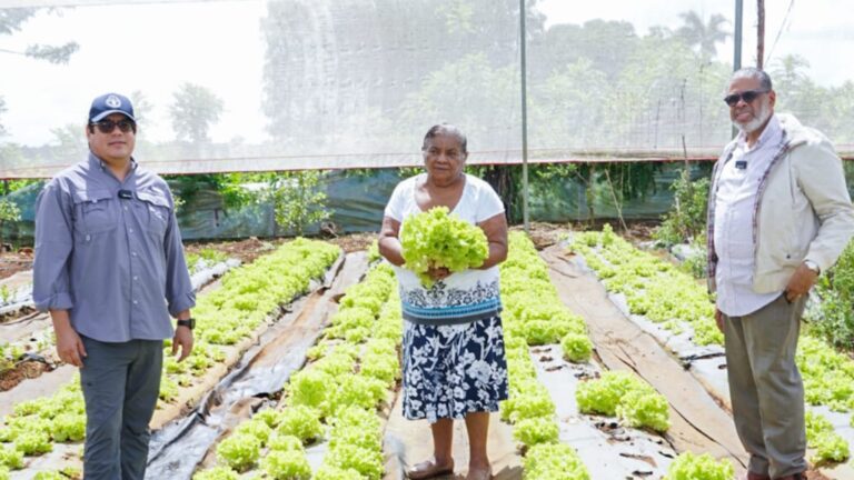Desarrollo de la Comunidad y FAO buscan relanzar proyectos agroalimentarios