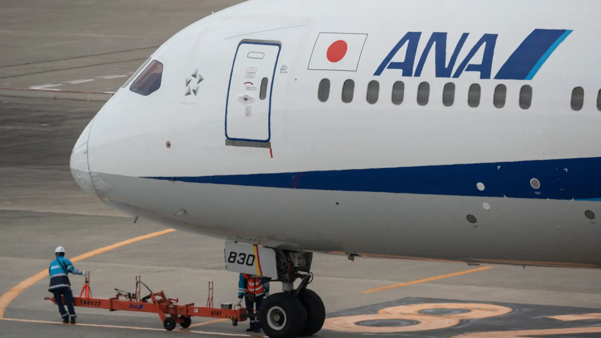 avion-de-la-aerolinea-japonesa-ana.jpeg