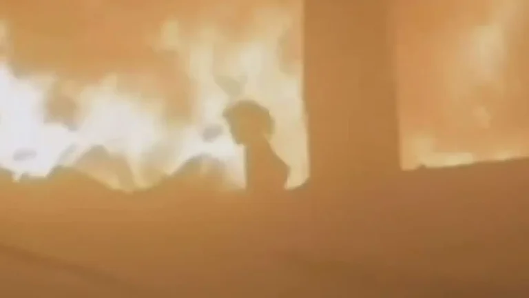 #Mundo:El vídeo de la niña gazatí que Hamas asegura que sobrevivió entre llamas al ataque israelí que mató a sus seis hermanos y a su madre #FVDigital