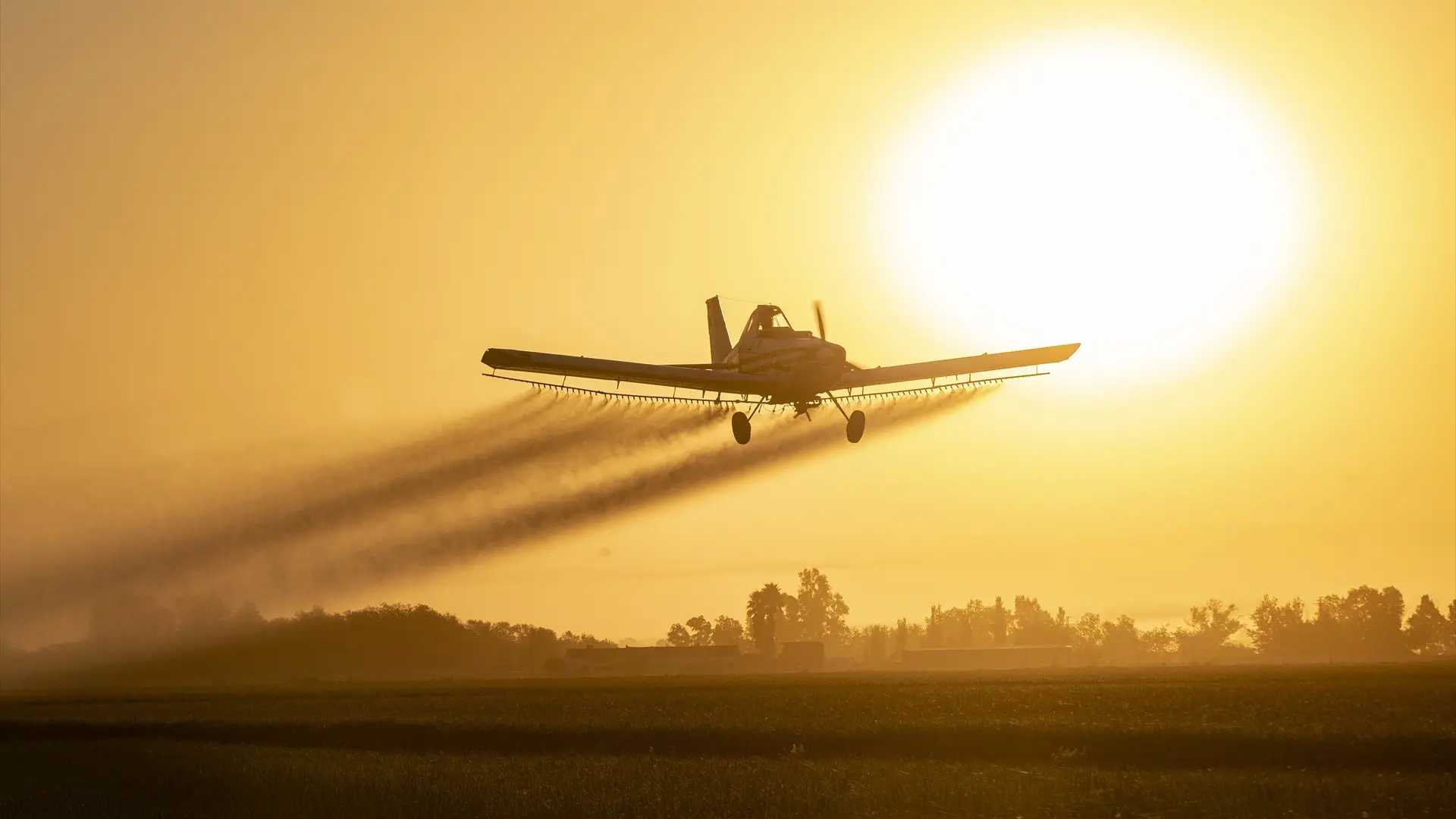 #Mundo:los cinco ocupantes han sido hallados con vida tras dos días desaparecidos