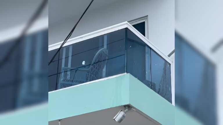 Hombre ultima a su pareja y agrede al hijo de esta en SDE #FVDigital #FelixVictorino