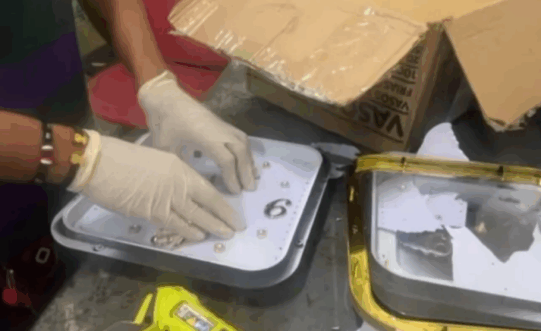 Narco vainas: Reloj repleto de coca – #DeInteres   #FVDigital