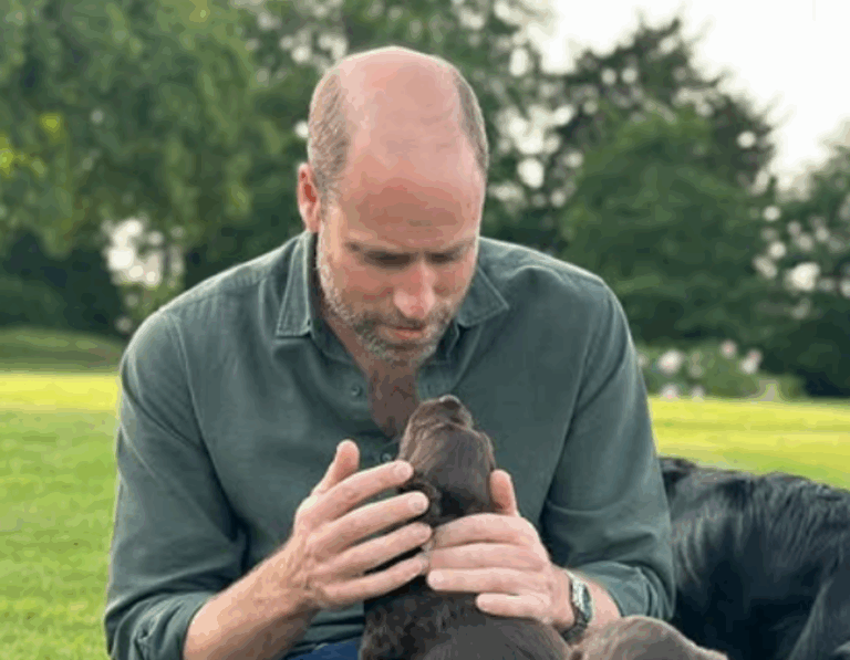 Japi verde príncipe Guillermo – #DeInteres   #FVDigital