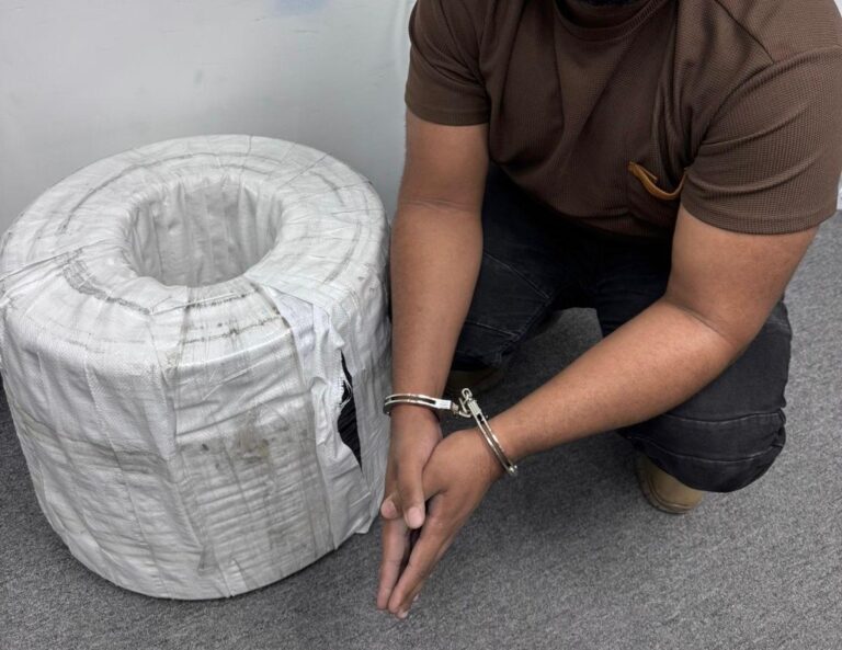 Arresta a hombre robó cables eléctricos propiedad de Edeeste #FVDigital