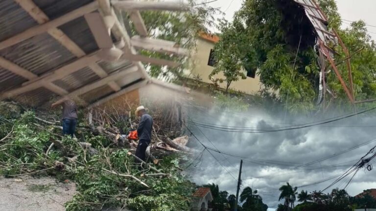 Fuertes vientos y lluvias torrenciales vuelan techos y derriban árboles en Puerto Plata