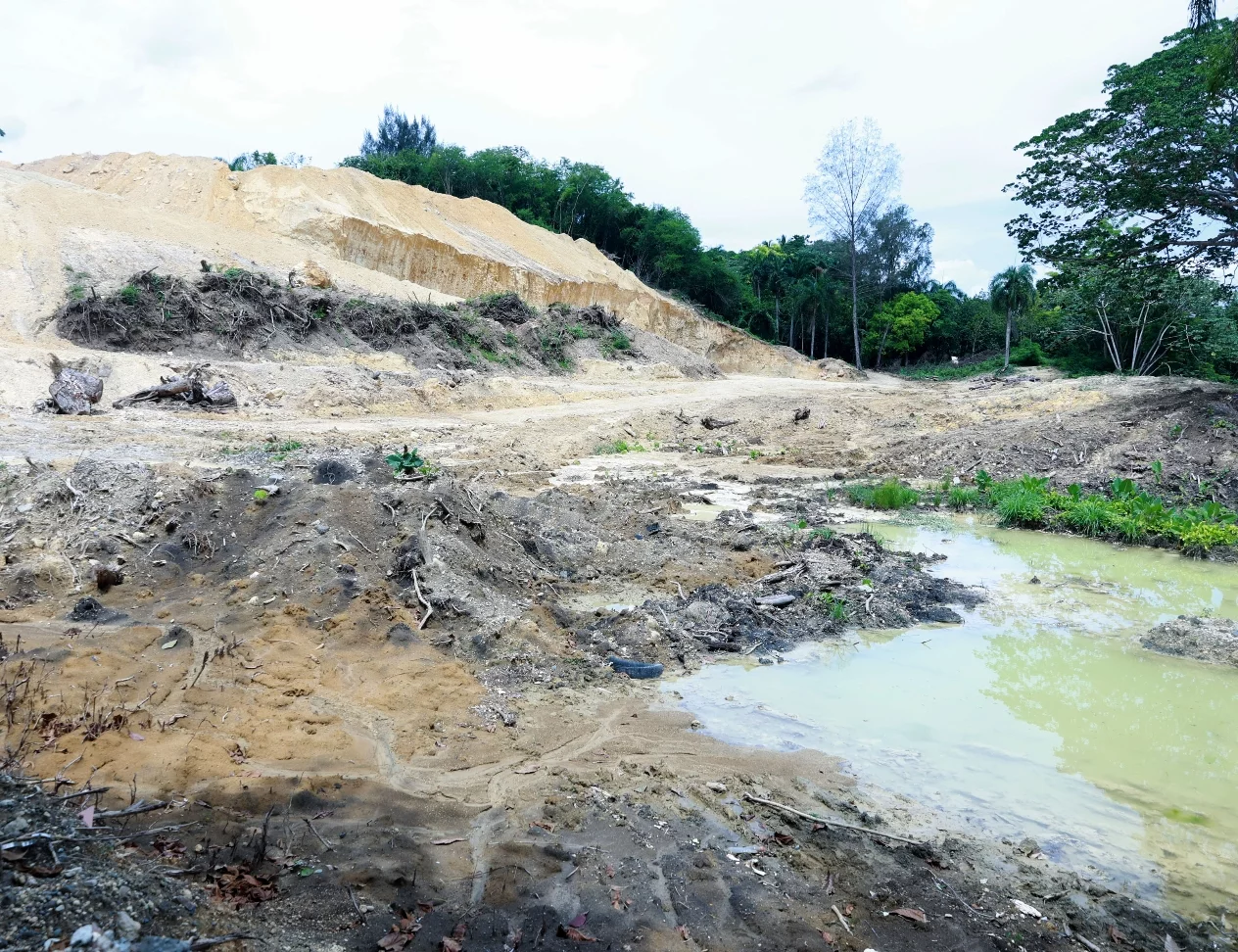 Residencial-en-area-afectaria-el-Cinturon-Verde-violentando-normas-ambientales.-Alberto-Calvo.webp.w