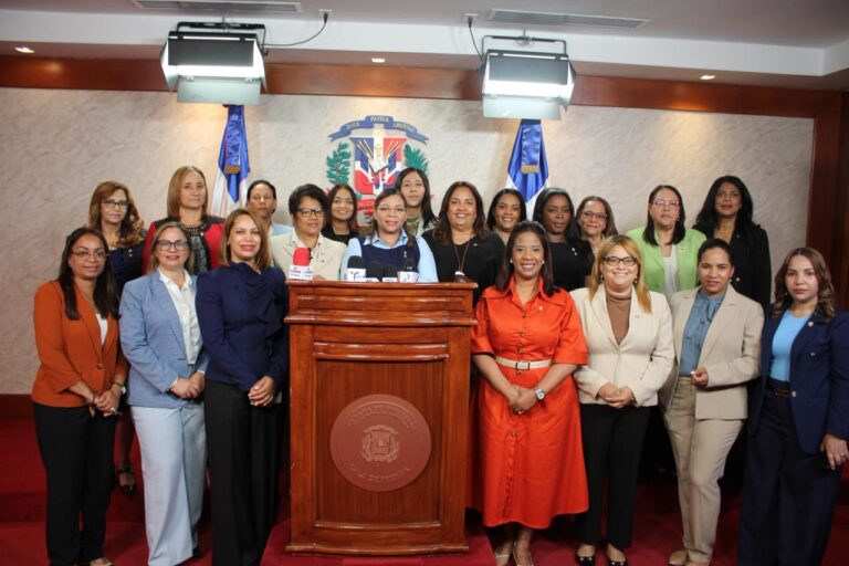 Mesa de Inclusión y Discapacidad de la Cámara de Diputados presenta resolución #FVDigital