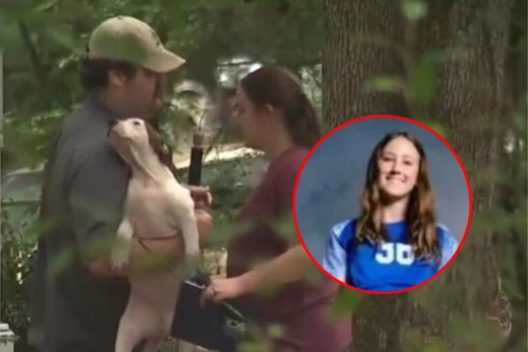 Adolescente de 15 años muere atacada por jauría mientras intentaba alimentar a perros abandonados en Arkansas