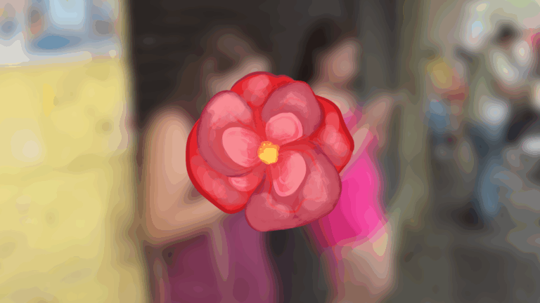  Conocen coerción a implicados en Operación Begonias   – #DeInteres   #FVDigital