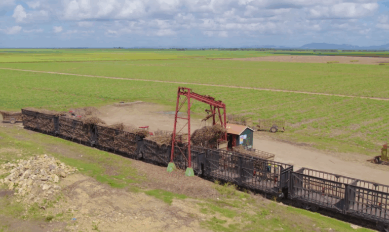 EE.UU. levanta prohibición al azúcar de Central Romana – #DeInteres   #FVDigital