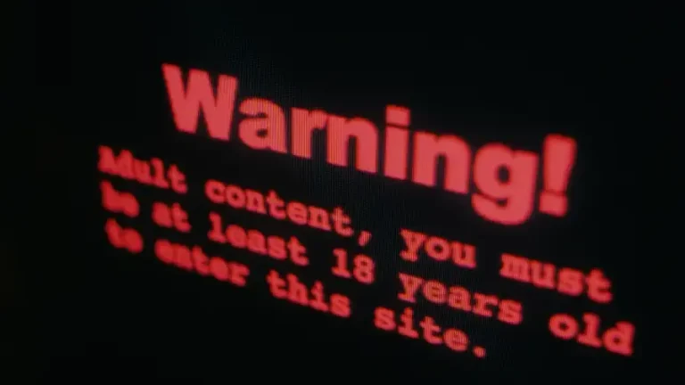 #Mundo:Pornhub, Youporn y Redtube bloquean sus páginas web en Francia en protesta por el control a los menores #FVDigital