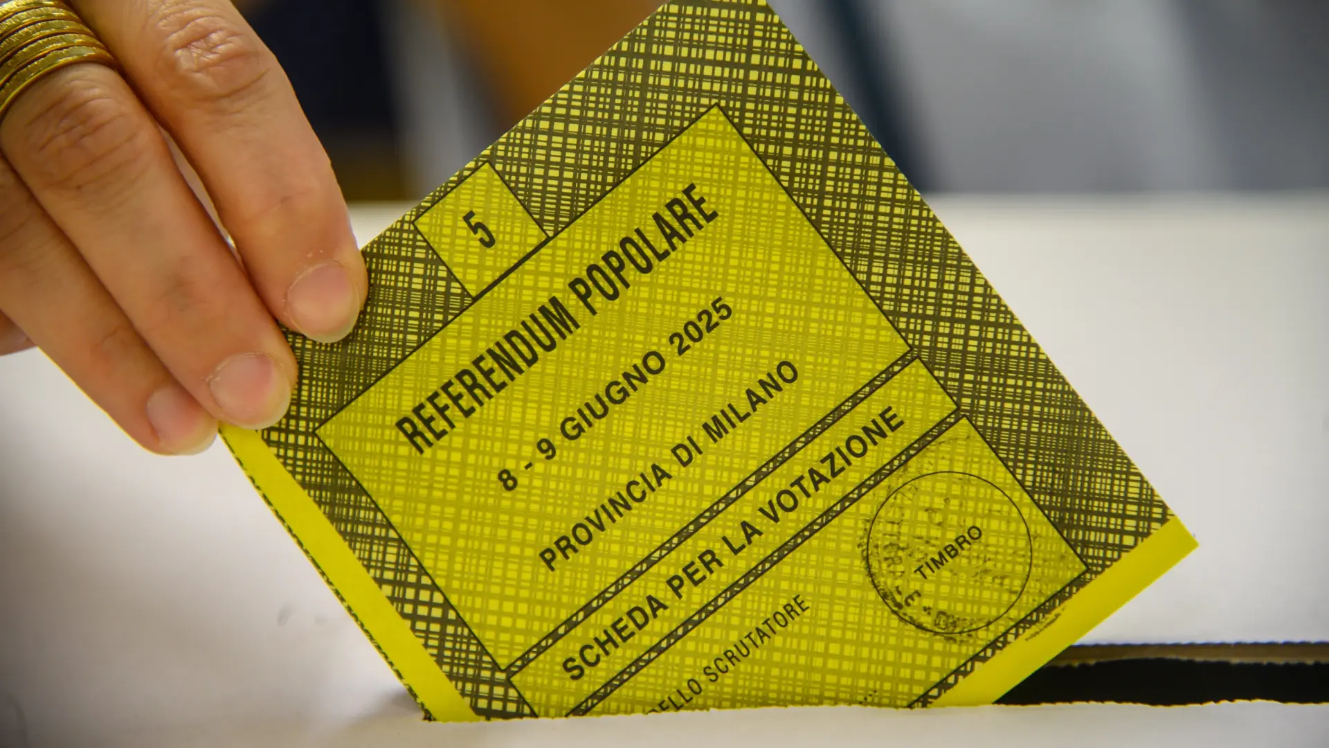 referendum-popular-en-italia.jpeg