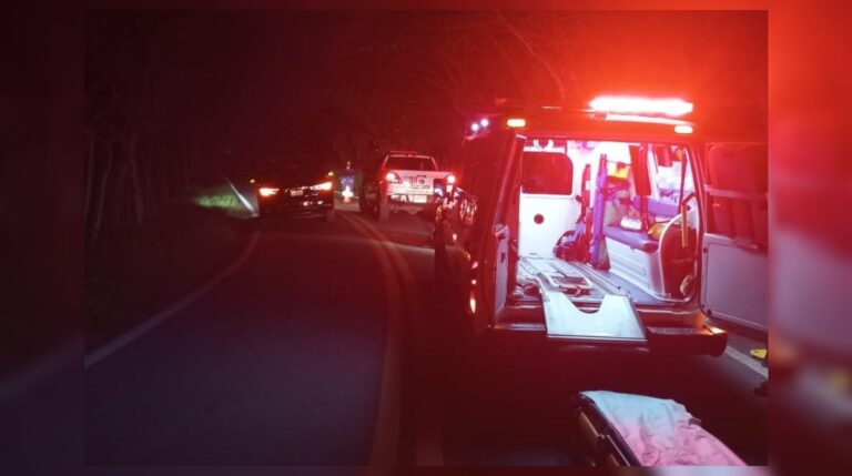 Motociclista resulta gravemente lesionado tras impacto con animal en vía Sánchez-Samaná #FVDigital #FelixVictorino