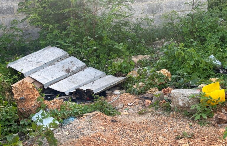 Bebé calcinada en Nueva Jerusalén por padres haitianos; solicitan intervención de autoridades migratorias #FVDigital