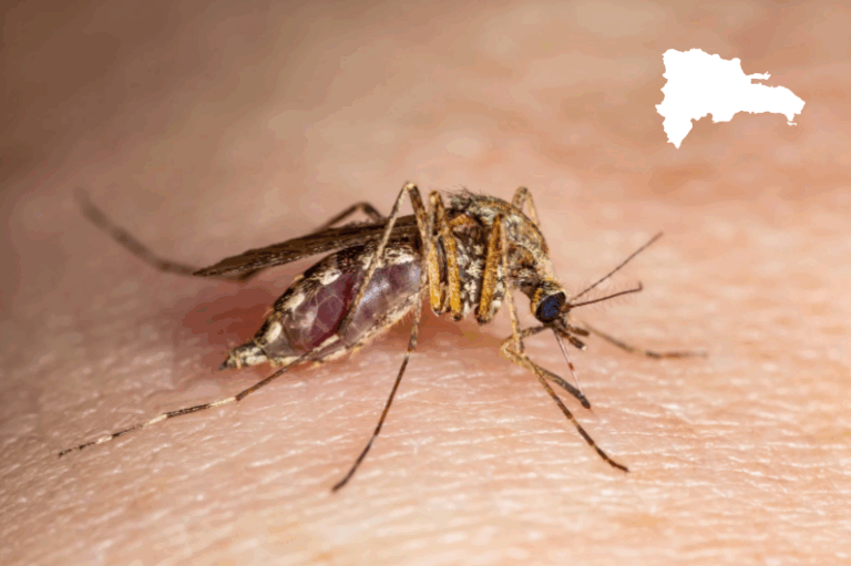 Azua y San Juan concentran 93.32% de los casos de malaria   #FVDigital