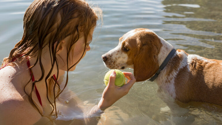 #Salud: ¿Cómo cuidar a tu mascota ante una ola de calor?