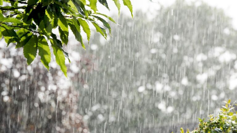 Aguaceros dispersos después del mediodía en varias provincias