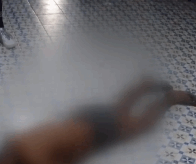 Encuentra muerto hombre que padecía de problemas mentales   #FVDigital