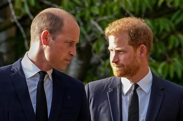 Principes-Harry-y-William.jpg
