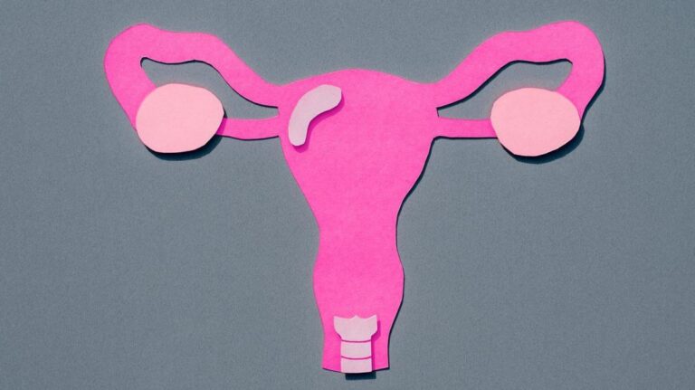 Movilidad del útero: mitos, realidades y su importancia en la salud femenina