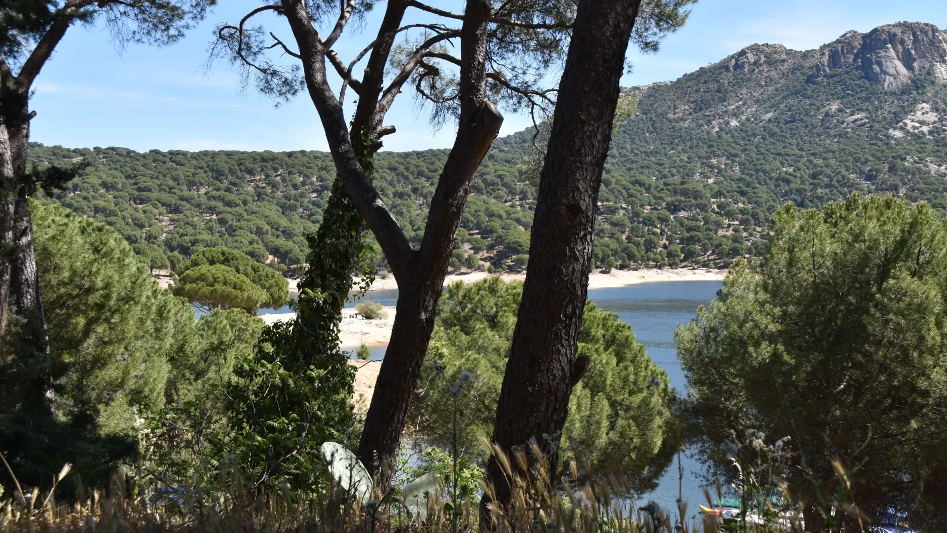 #Mundo:Bruselas amonesta a España por incumplir los objetivos de reciclaje y habla de “falta de coordinación” en la transición ecológica #FVDigital