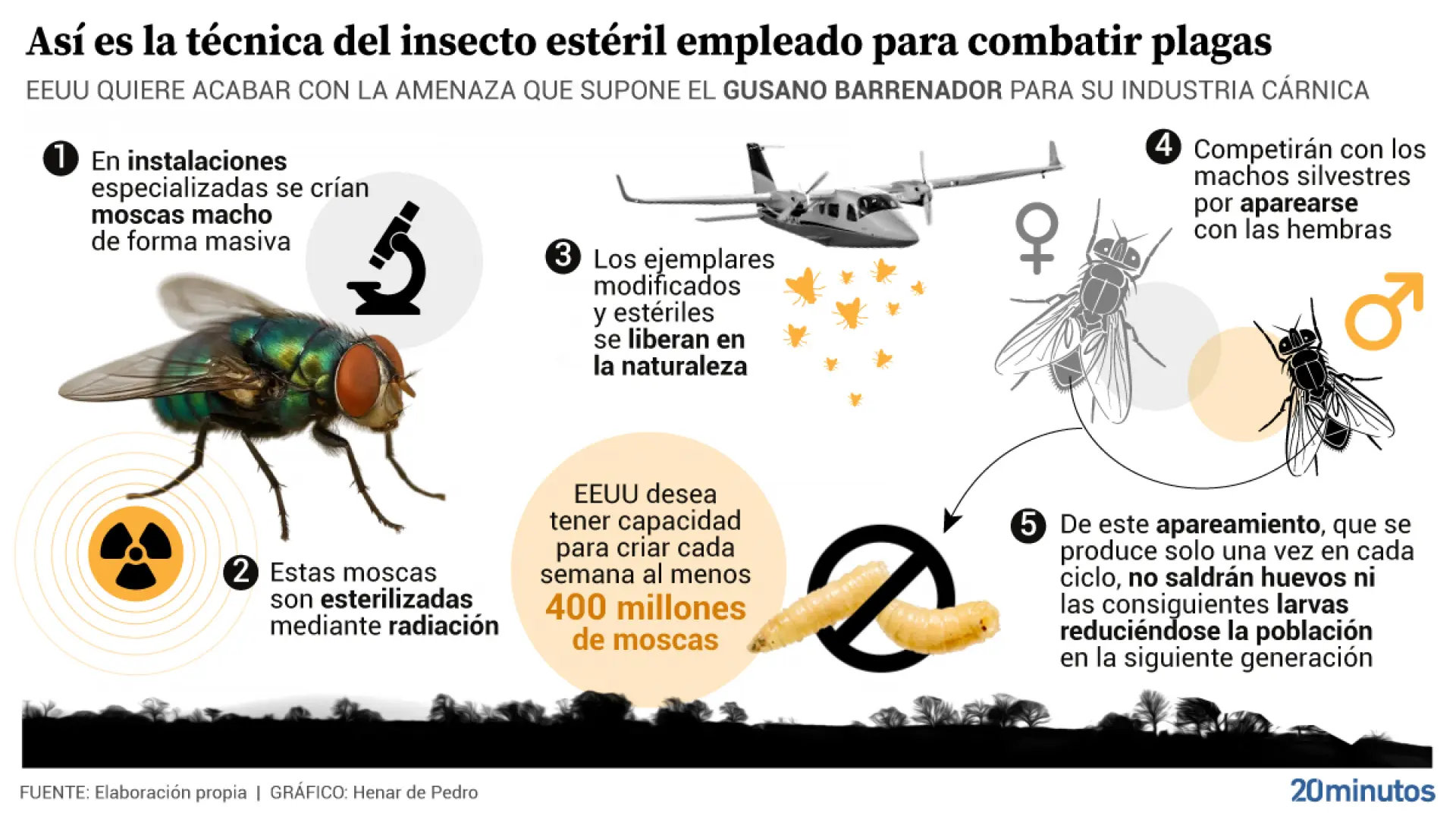 los-insectos-esteriles.jpeg