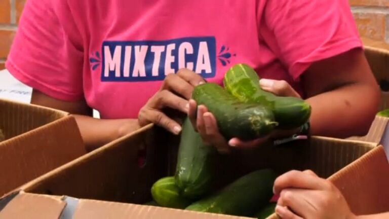 Recortes en fondos amenazan ldistribución de alimentos en NY