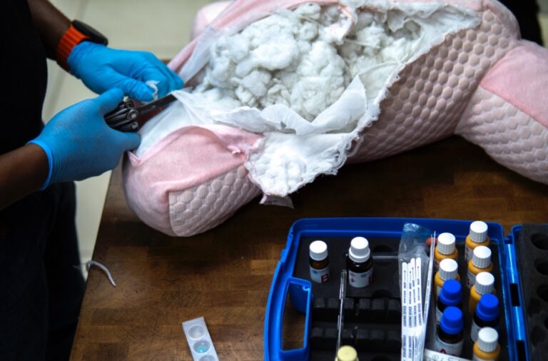 Narco vainas: Peluche relleno de fibras de cocaína – #DeInteres   #FVDigital