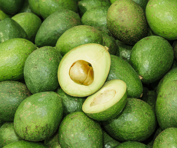 Produccion-de-aguacates.png