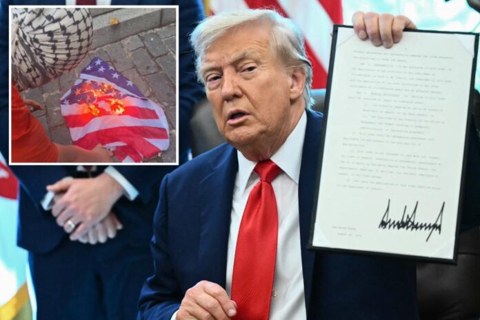 trump-executive-order-flag-burning-comp.jpg