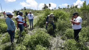 Localizan 17 cuerpos sin vida #FVDigital