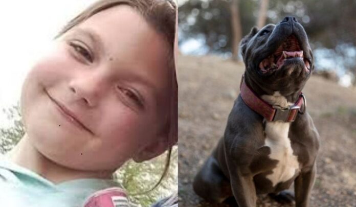 Savannah Bentham - ACONTECER DOMINICANO #FVDigital