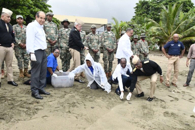 Armada de República Dominicana y Acuario Nacional liberan 98 tortugas marinas en Santuario de Sans Souci