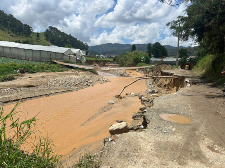 Se registran daños agrícolas en Tireo Abajo por lluvias #FVDigital