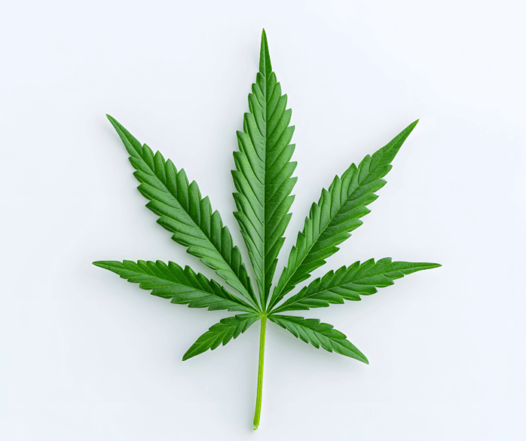 Colombia aprueba la venta de cannabis medicinal en farmacias – #DeInteres   #FVDigital