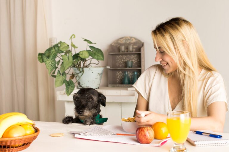 #Salud: ¿Qué frutas pueden comer los perros?