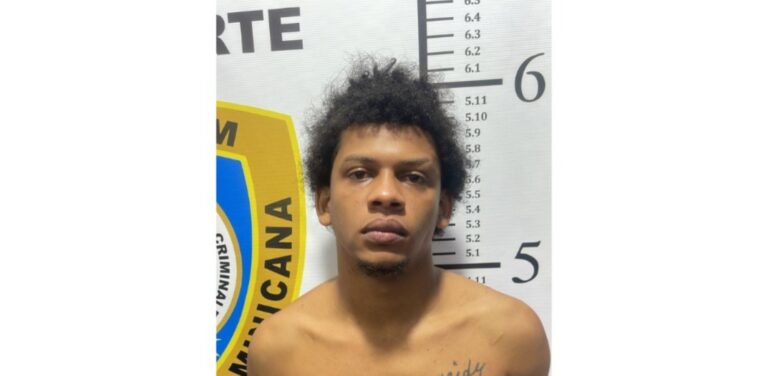 Capturan presunto autor del homicidio de una mujer en SFM