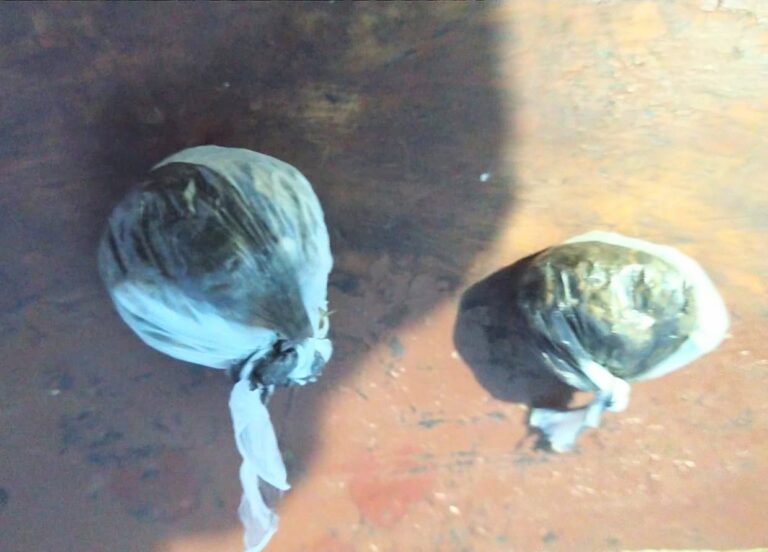 Policía apresa hombre en posesión de sustancias narcóticas en Cabral, Barahona #FVDigital