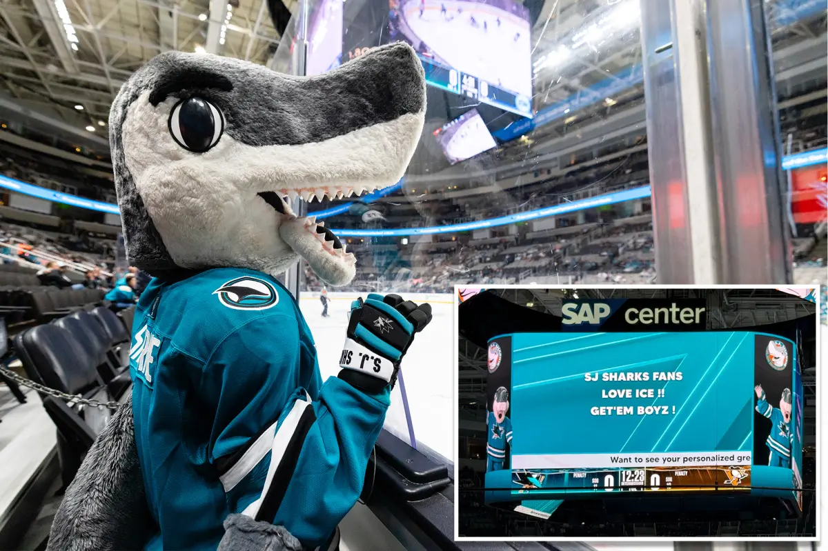 san-jose-sharks-apologize-fans-113842878.jpg