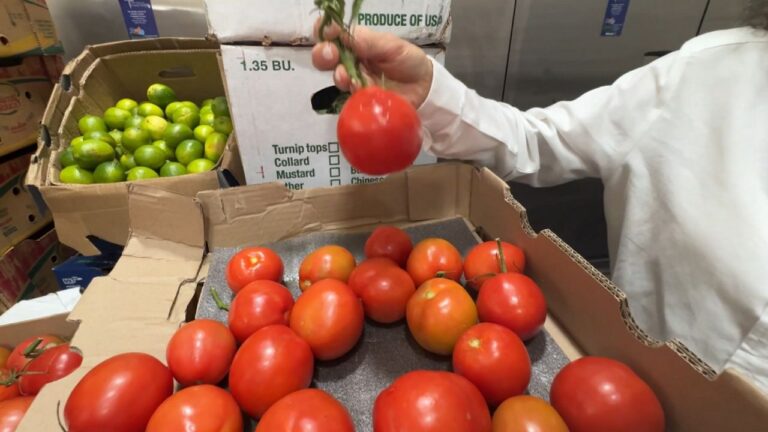 Rescatan alimentos de mercado Hunts Point