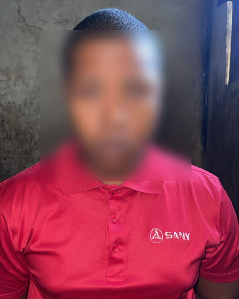 Hombre mata a su madre y a su hermano en San Felipe, Villa Mella