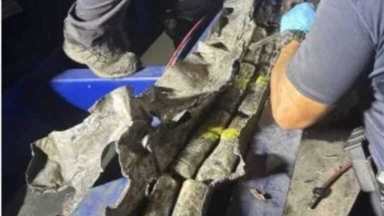 Puerto decomisa 530 kilos de cocaína en buque procedente de RD – #DeInteres   #FVDigital