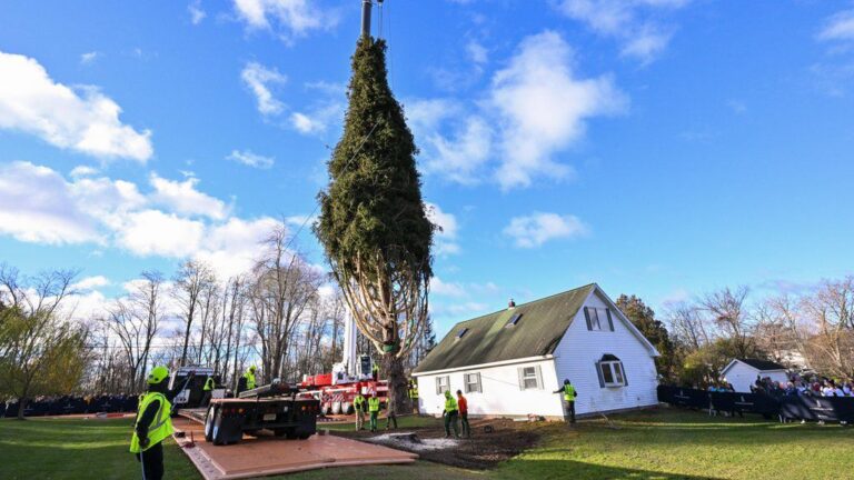 El árbol de Navidad del Rockefeller Center comienza su viaje