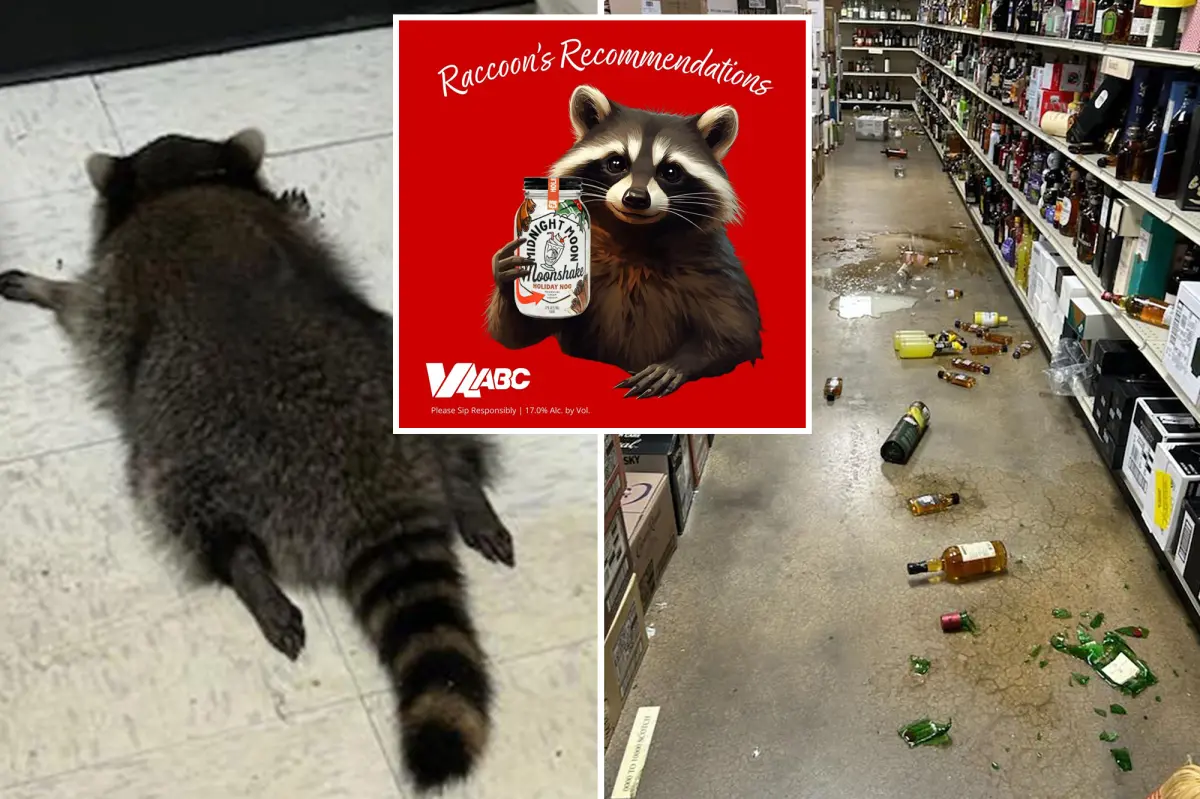 drunk-raccoon-comp.jpg