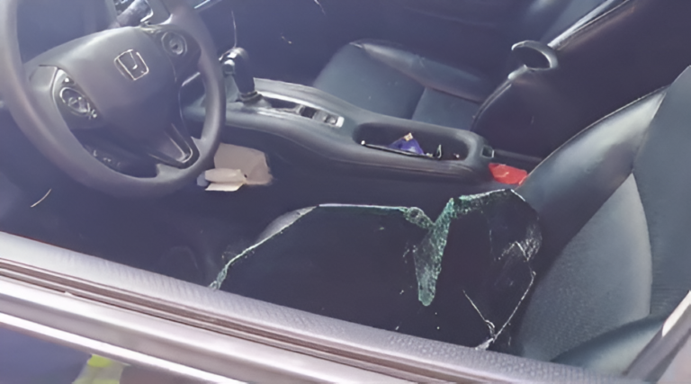 Comerciante es despojado de dos millones de pesos en asalto en La Vega