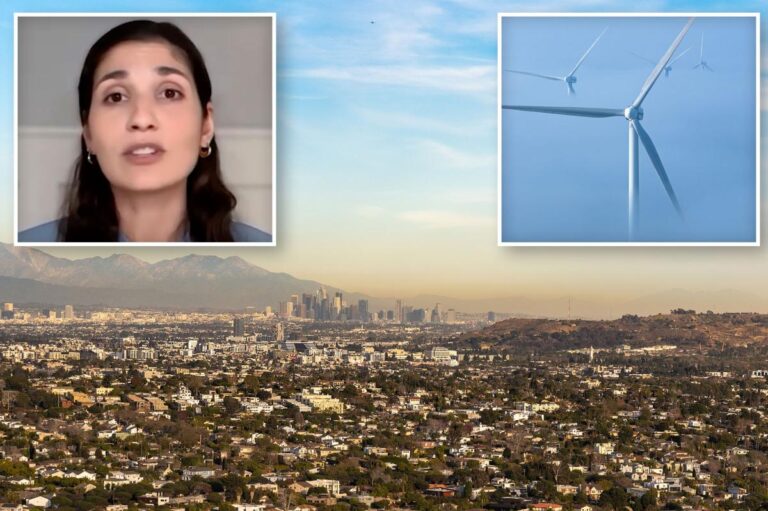Presidenta de junta de aire de California sugiere cambios a polémica norma climática antes de votación